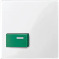Merten Zentralplatte pws/gl 451519