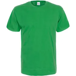 Gildan Softstyle T-Shirt, irish green, XL