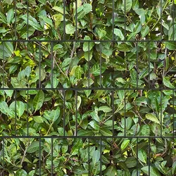 zaun|zu® Sichtschutzstreifen Kirschlorbeer bedruckter Sichtschutz 2,5m x 2,0m