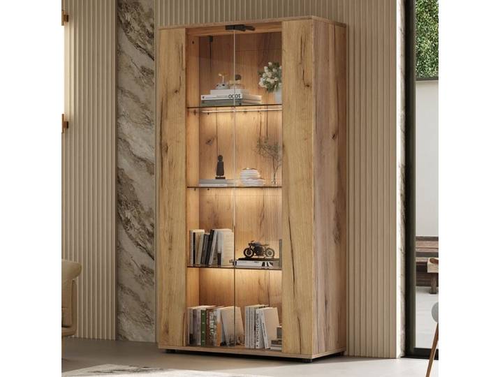 Vitrine en Verre avec éclairage LED Réglable 2 Portes 4 étagères Bibliothèque Vitrine pour Collection Design Moderne Nature