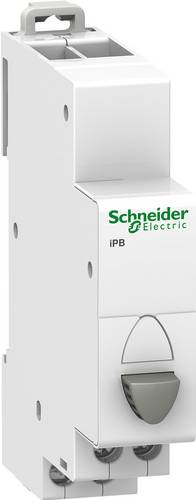 Schneider Electric Taster 250V A9E18033