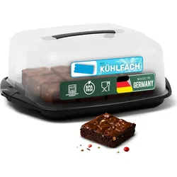 Novaliv 3er-Set Kuchen-Transportbox (Rechteckig 38 x 33 x 15 cm), Aufbewahrungsbox mit Deckel für Kuchen & Torten, Tortentransportbox Tortenglocke Tortenbehälter, Zubehör Box Dessert Aufbewahrung