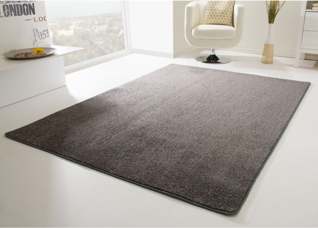 Latitude Run Willenhall Area Rug Anthracite Rectangle 100 x 200cm