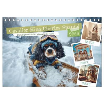 Cavalier King Charles Spaniel. Die lustigsten Cavalier Momente des Jahres. (Tischkalender 2026 DIN A5 quer), CALVENDO Monatskalender