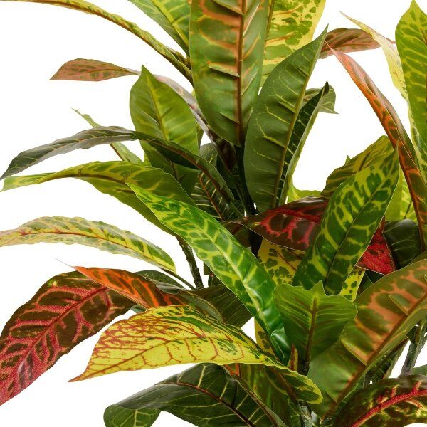 4EverGreen Kroton Træ, 75 Cm