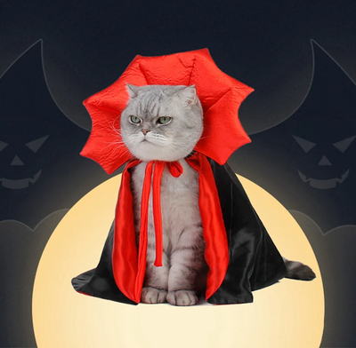 PetsAreLife Halloween Cat Vampire Costume Halloween Cat Vampire Costume