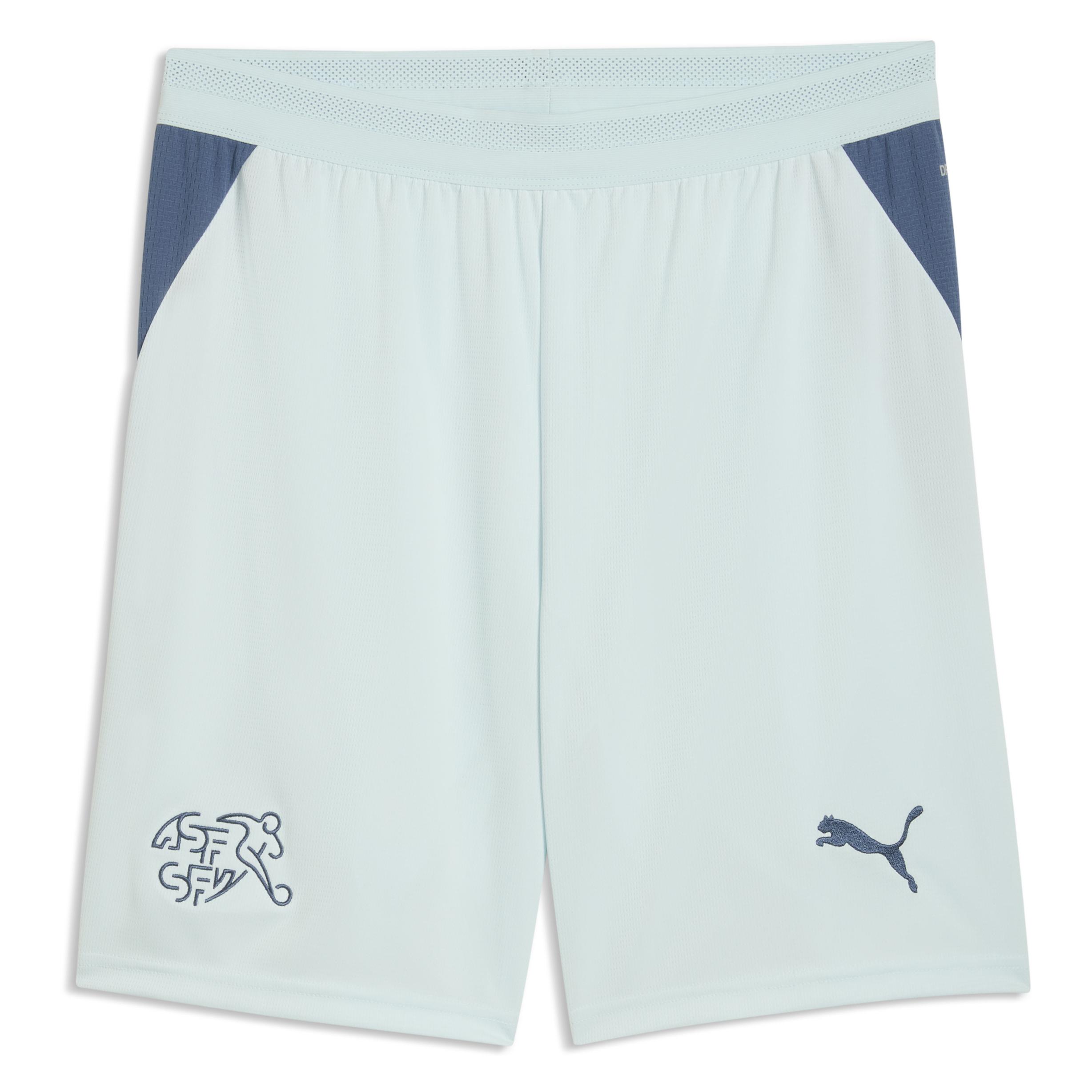 Puma SFV Shorts Replica (S) (783233)