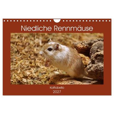 Niedliche Rennmäuse (Wandkalender 2027 DIN A4 quer), CALVENDO Monatskalender