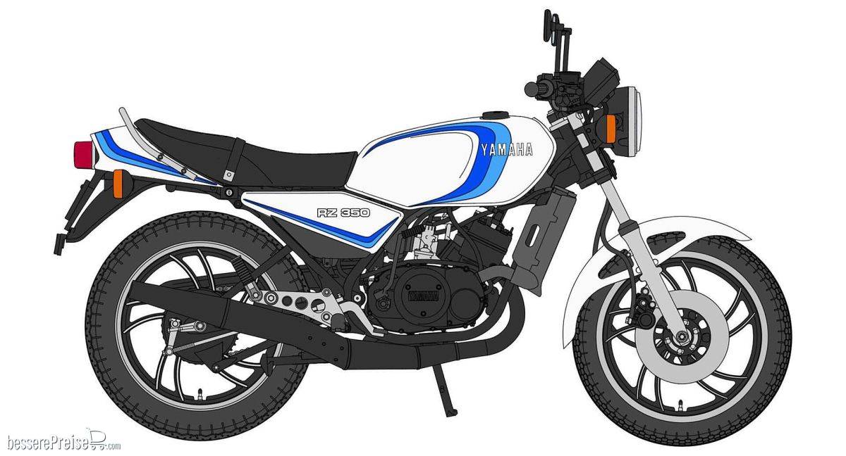Hasegawa 621515
