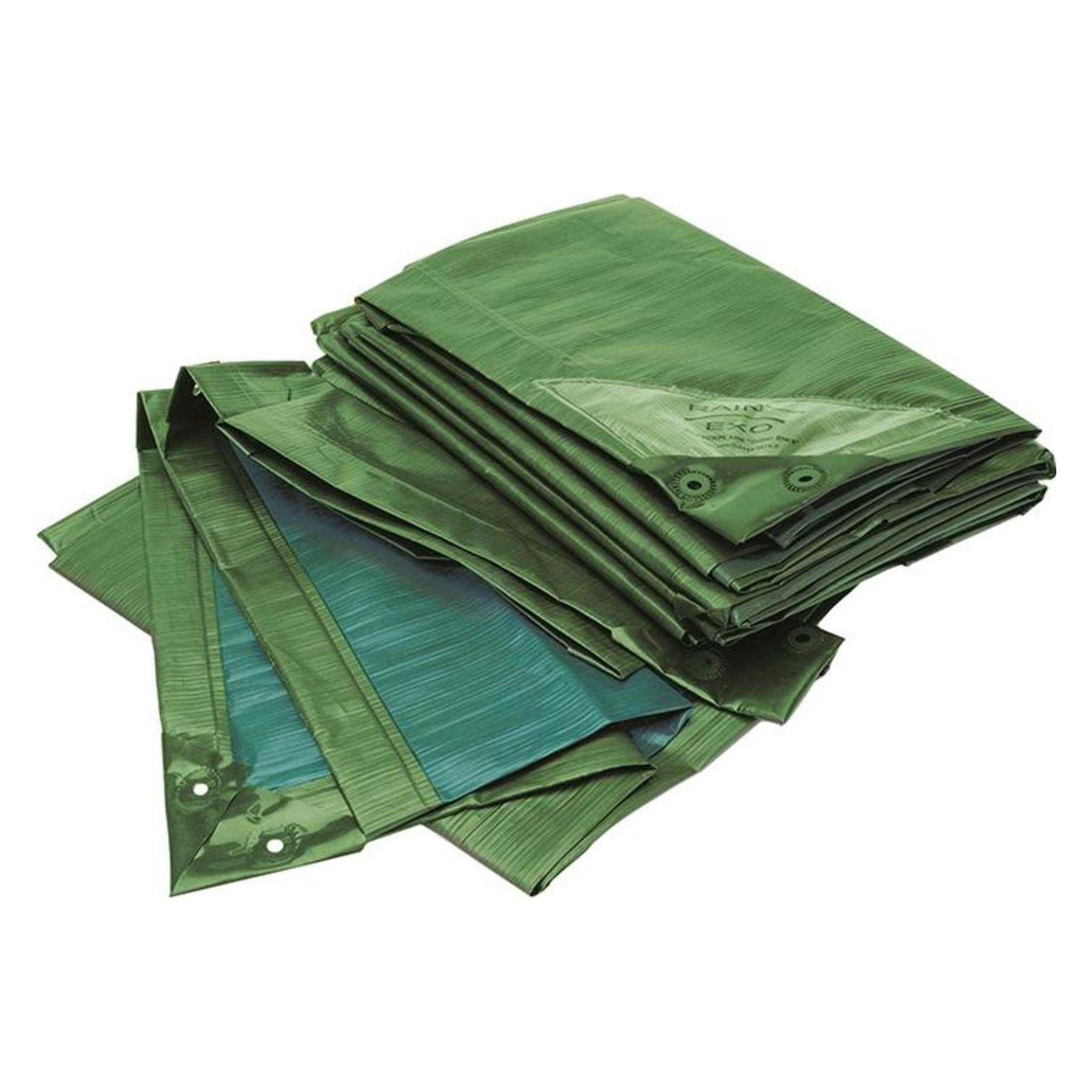Bio Green Rainexo Power 150 (4 x 3 m) (5055320001133)