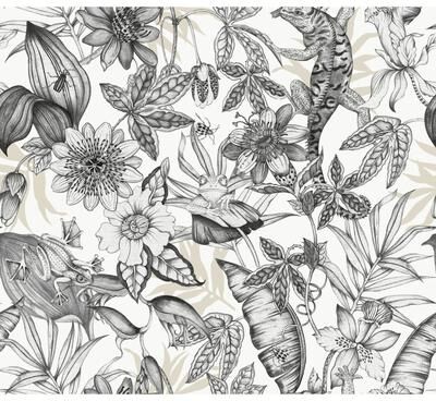 York Wallcoverings Rainforest White & Charcoal Wallpaper