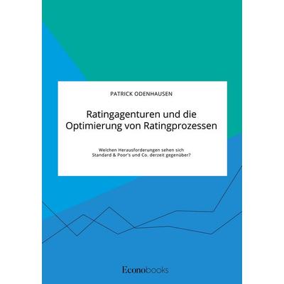 Ratingagenturen und die Optimierung von Ratingprozessen. Welchen Herausforderungen sehen sich Standard & Poor's und Co. derzeit gegenüber?,