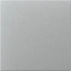 Gira 349626 Wippe gerade System 55 Farbe Aluminium