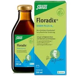 FLORADIX Eisen plus B12 vegan Tonikum 250 ml
