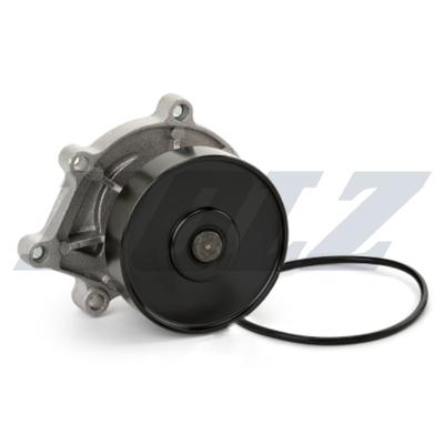 DOLZ Wasserpumpe B239 für TOYOTA MINI