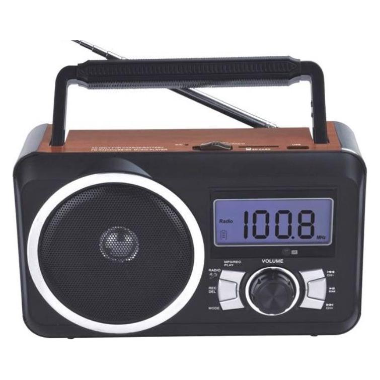 Datel Radio Frisky RD-20 (FM) (Spr007003)