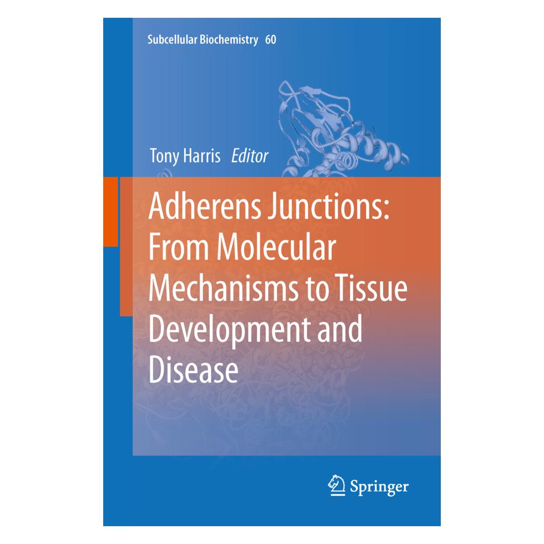 Springer Adherens Junctions: from Molecular Mechanisms to Tissue Development and Disease (Englisch, Softcover, Tony Harris) (55559260)