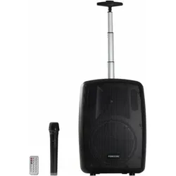Fonestar Bluetooth-Lautsprecher AMPLY-T Schwarz 100 W, Bluetooth Lautsprecher, Schwarz