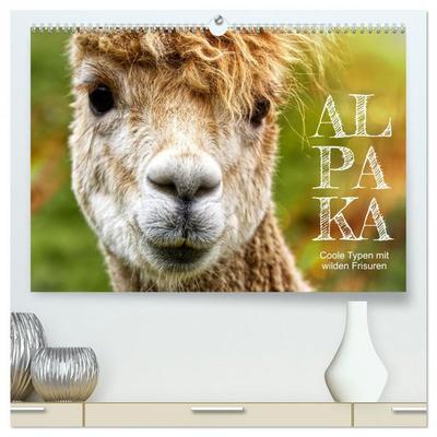 Alpaka, coole Typen mit wilden Frisuren (hochwertiger Premium Wandkalender 2026 DIN A2 quer), Kunstdruck in Hochglanz