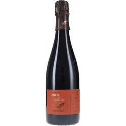 de Bichery Saignee de Meunier Parcellaire Spontané Rosé Brut Nature 2022