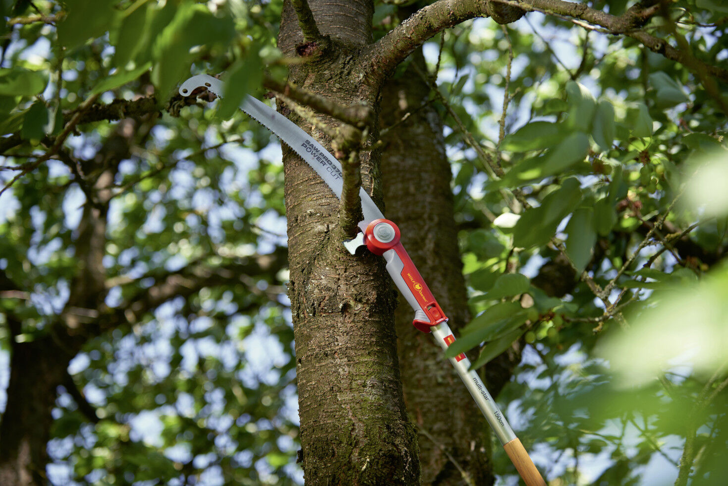 Wolf-Garten Wolf Garten Astsäge POWER CUT SAW PRO 370 37 cm Sägeblatt