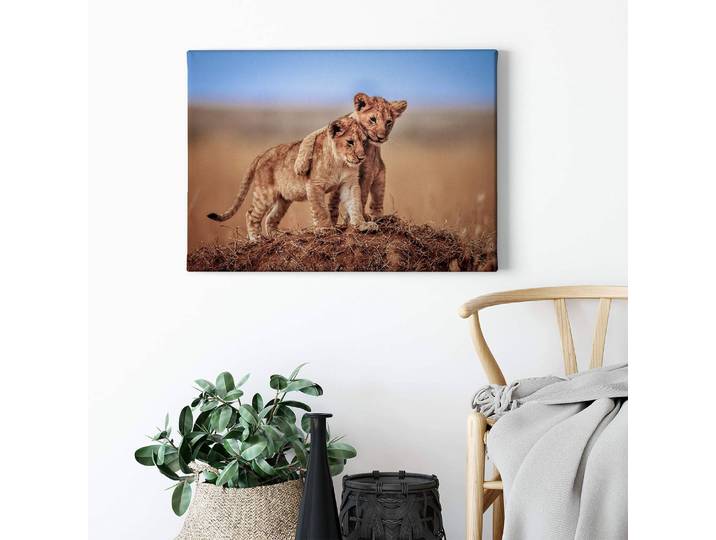 Impression sur toile Brothers Lions Polyester PVC / Épicéa Bleu 70 x 50cm