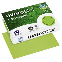 Clairefontaine Recyclingpapier Evercolor DIN A4 80 g/m2 grün