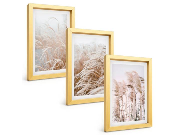 BILDER SET 3er Set - 20x30 cm Goldrahmen - Grasflächen in Braun- und Beigetönen