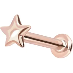 14 Karat Gold Labret mit Innengewinde STERN