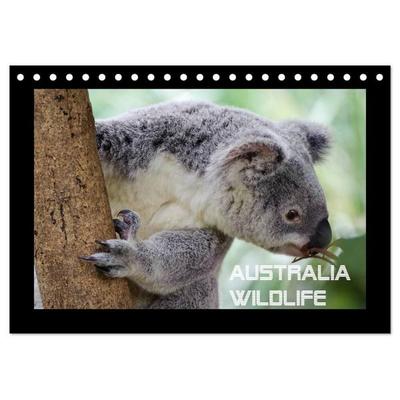 Australia Wildlife (Tischkalender 2027 DIN A5 quer), CALVENDO Monatskalender