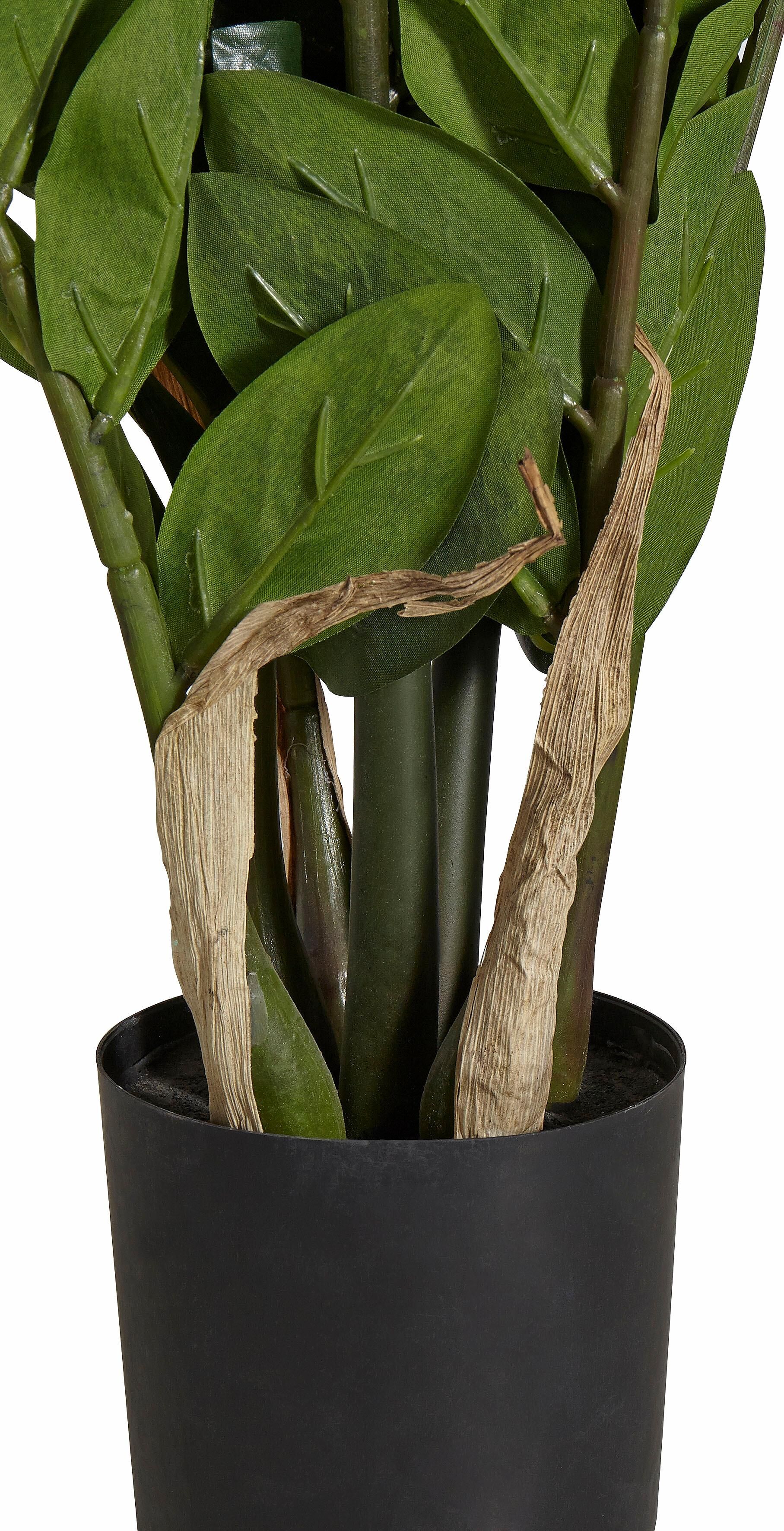 Kunstpflanze CREATIV GREEN "Zamifolia", grün, H:70cm, Kunststoff, Kunstpflanzen, Kunstpflanze