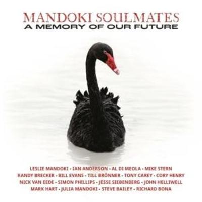 A Memory Of Our Future - ManDoki Soulmates, CD
