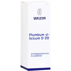 Plumbum Silicicum D 20 Trituration 20 g
