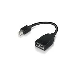 Lenovo 4X90L13971 DisplayPort-Kabel Mini DisplayPort Schwarz