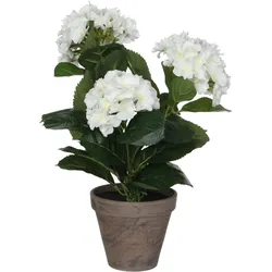 Mica Decorations, Kunstpflanzen, Hortensien Kunstpflanze im Blumentopf Stan - H40 x Ø35 cm - Weiss (40 cm)