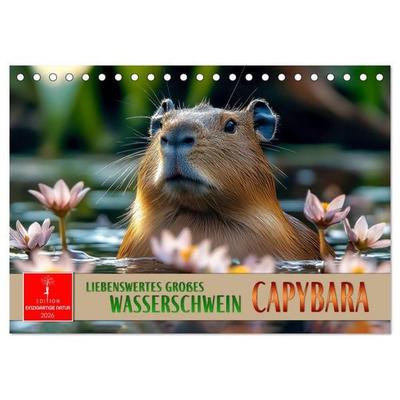 Capybara - liebenswertes großes Wasserschwein (Tischkalender 2026 DIN A5 quer), CALVENDO Monatskalender