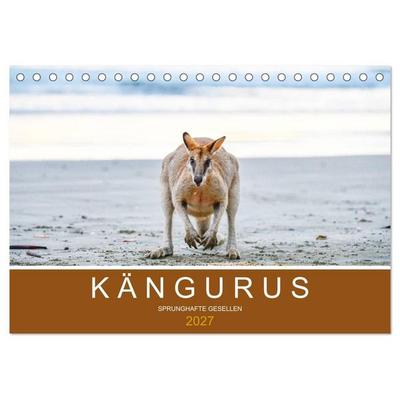 Kängurus, sprunghafte Gesellen (Tischkalender 2027 DIN A5 quer), CALVENDO Monatskalender