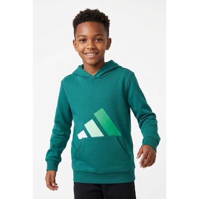 adidas Sportswear "ESSENTIALS KIDS HOODIE"