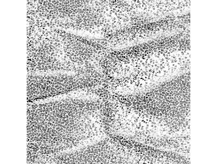Temporary Mutilation (10 )