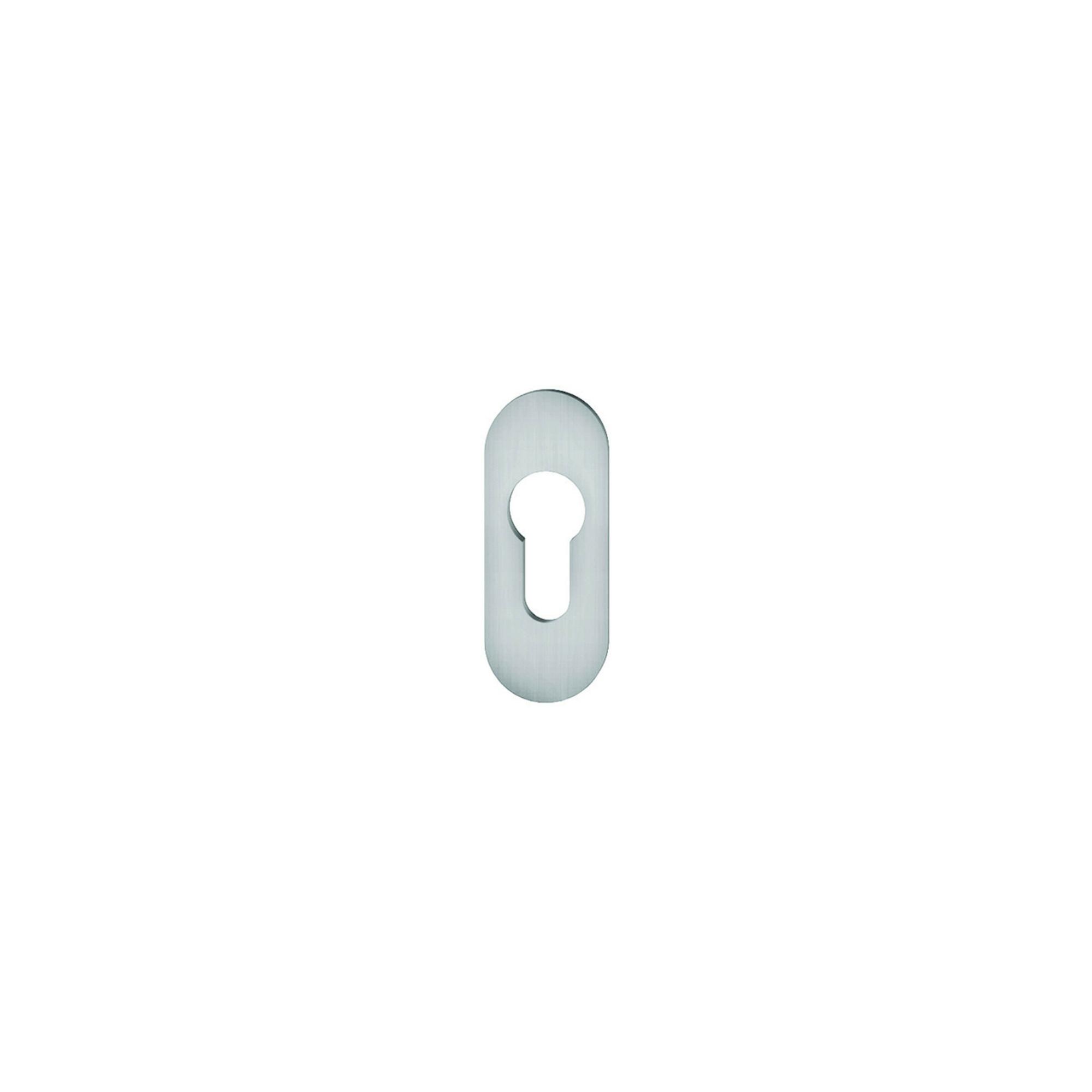 FSB PT-Schlüsselrosette, PZ, 0 17 1729, oval, F69 matt (0 17 1729 01010 6204)