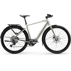 Centurion Speeddrive R2000 D EQ Light-E-Bike, Bosch Performance Line SX, 400 Wh, Vintage Grau