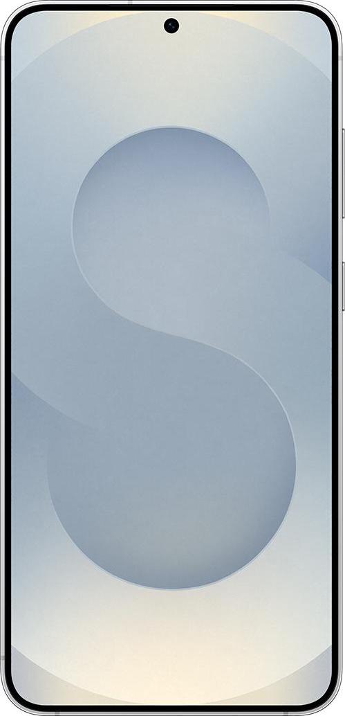 Galaxy S25 Enterprise Edition, Silver Shadow, 256 GB