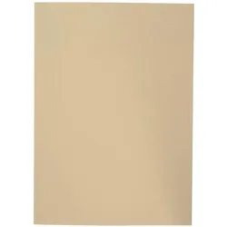 Elba, Mappe, Aktendeckel, DIN A4, Manilakarton, ohne Druck, chamois 250 g-qm (A4, 1x)