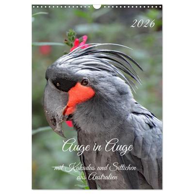 Auge in Auge mit Kakadus und Sittichen aus Australien (Wandkalender 2026 DIN A3 hoch), CALVENDO Monatskalender