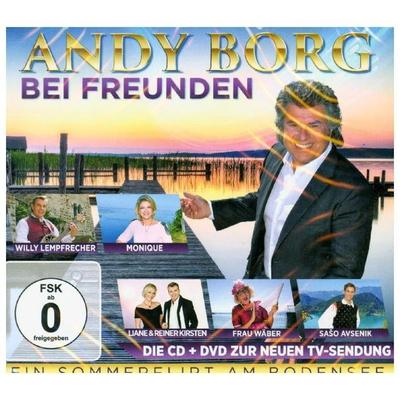 Ein Sommerflirt am Bodensee - Andy Borg, CD, 9002986720652