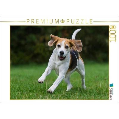 CALVENDO Puzzle Beagle in Action | 1000 Teile Lege-Größe 64x48cm Foto-Puzzle für glückliche Stunden