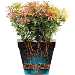Elho, Blumentopf, Loft Urban Eckig Hoch (37 x 37 x 51.30 cm)