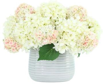 Creative Labs Hydrangea and Viburnum Arrangement in Ridged Vase