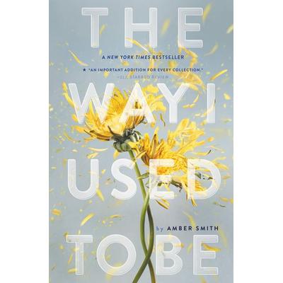 The Way I Used to Be, Taschenbuch von Amber Smith, Simon + Schuster LLC
