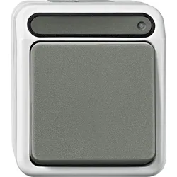 Merten MEG3102-8029 Aus-Kontrollschalter, 2-polig, lichtgrau, AQUASTAR MEG31028029